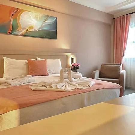 Hotel Casa De Levıssı 3*